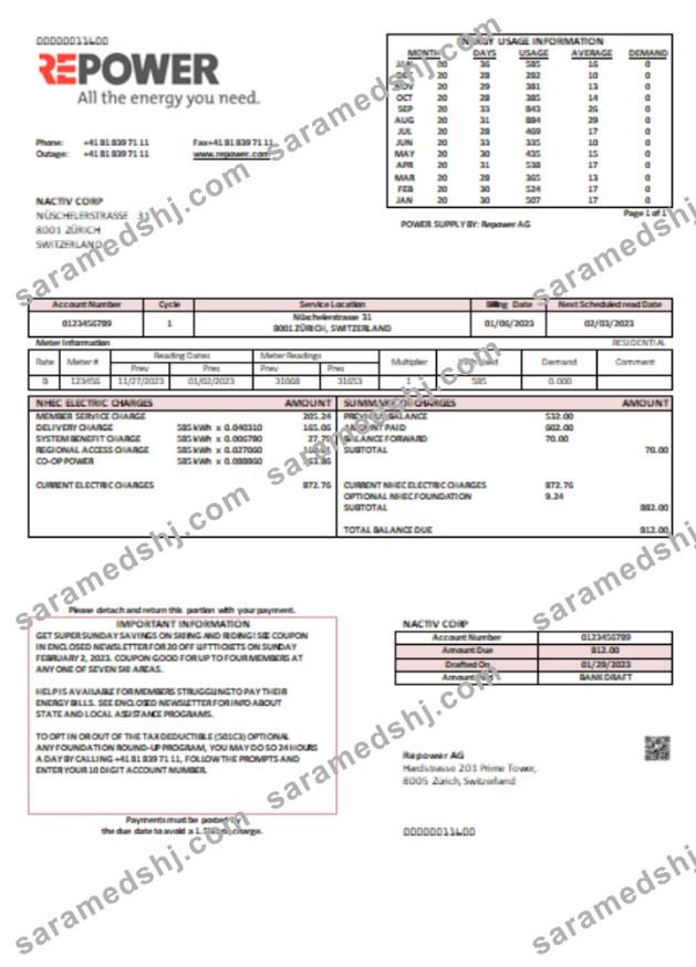 Repower AG utility business bill SCR